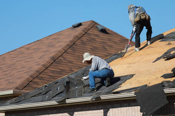 Best Skylight Installation and Repair  in Sonterra, TX